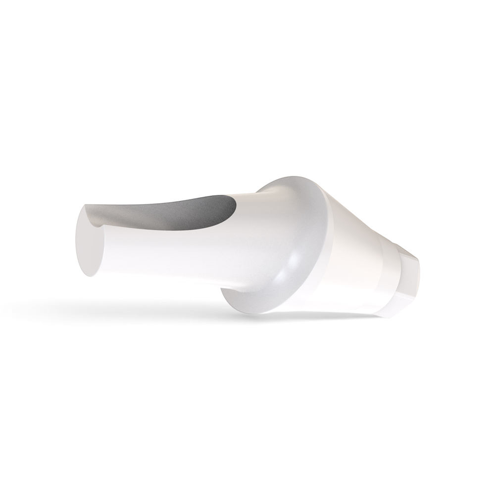 Angulated 15° Peek Temporary Anatomic Abutment - Regular Platform Conical Connection