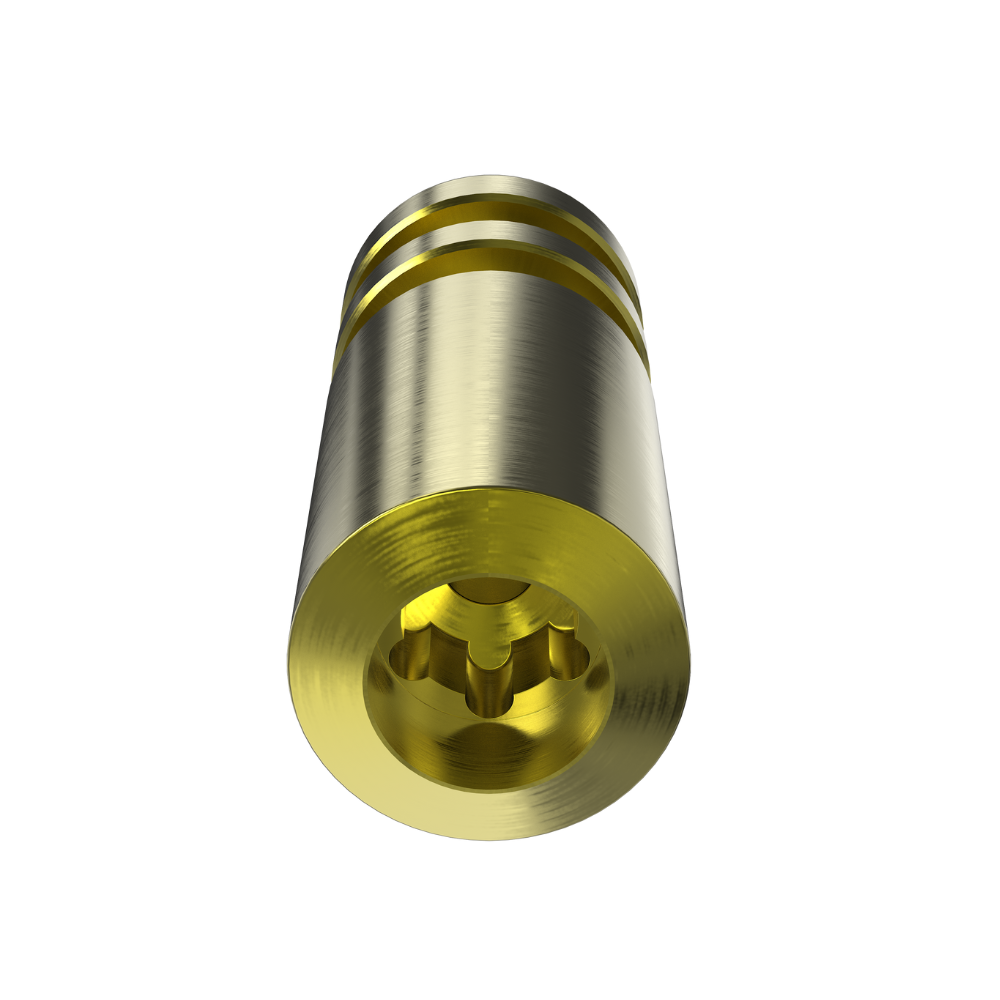 Implant Analog Compatible with Straumann BLX® Ø6.5mm (WB) - 10pcs
