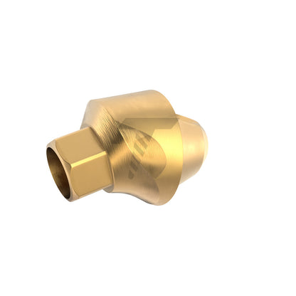 17° Angulated Multi-Unit 1.6 Abutment – Internal Hex 2.42mm