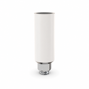 Anti-Rotational Titanium Base Plastic Abutment (UCLA) – Internal Hex SP