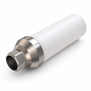 Anti-Rotational Titanium Base Plastic Wide Abutment (UCLA) – Internal Hex SP