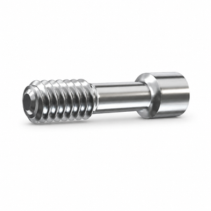 Fixation Screw for AB Dent® Internal Hex Standard Platform - Pack of 5