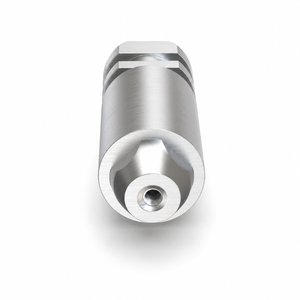 Screw-Retained Abutments Analog for Straumann®