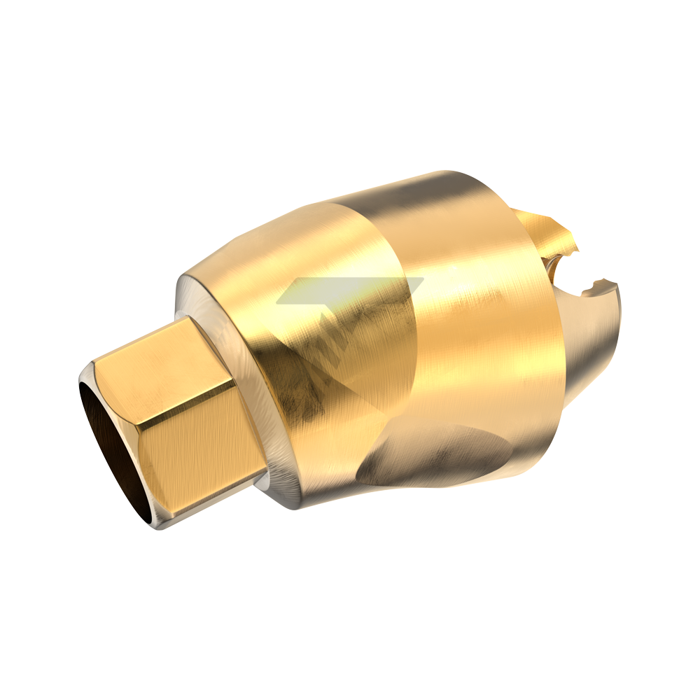 17° Angulated Multi-Unit 1.6 Abutment – Internal Hex 2.42mm