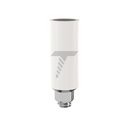 Anti-Rotational Titanium Base Plastic Abutment (UCLA) – Internal Hex 2.42mm