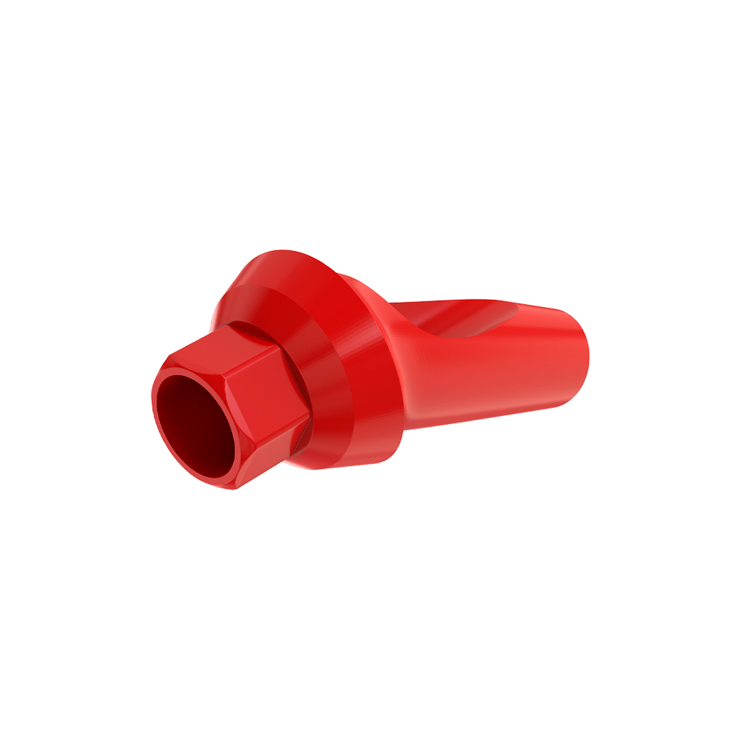 Angulated 25° Anatomic Fully Castable Abutment - Internal Hex SP