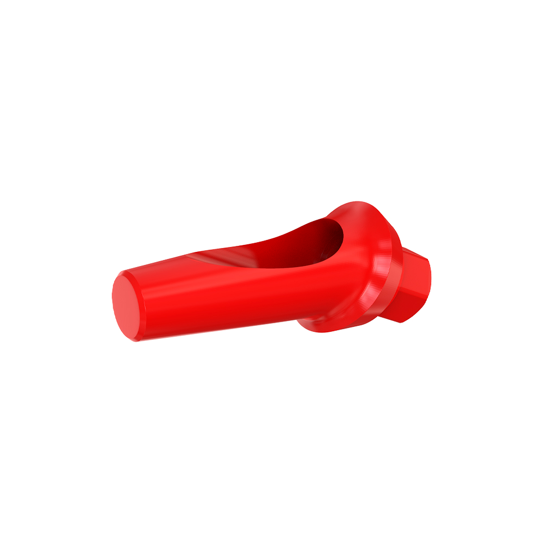 Angulated 25° Anatomic Fully Castable Abutment - Internal Hex SP