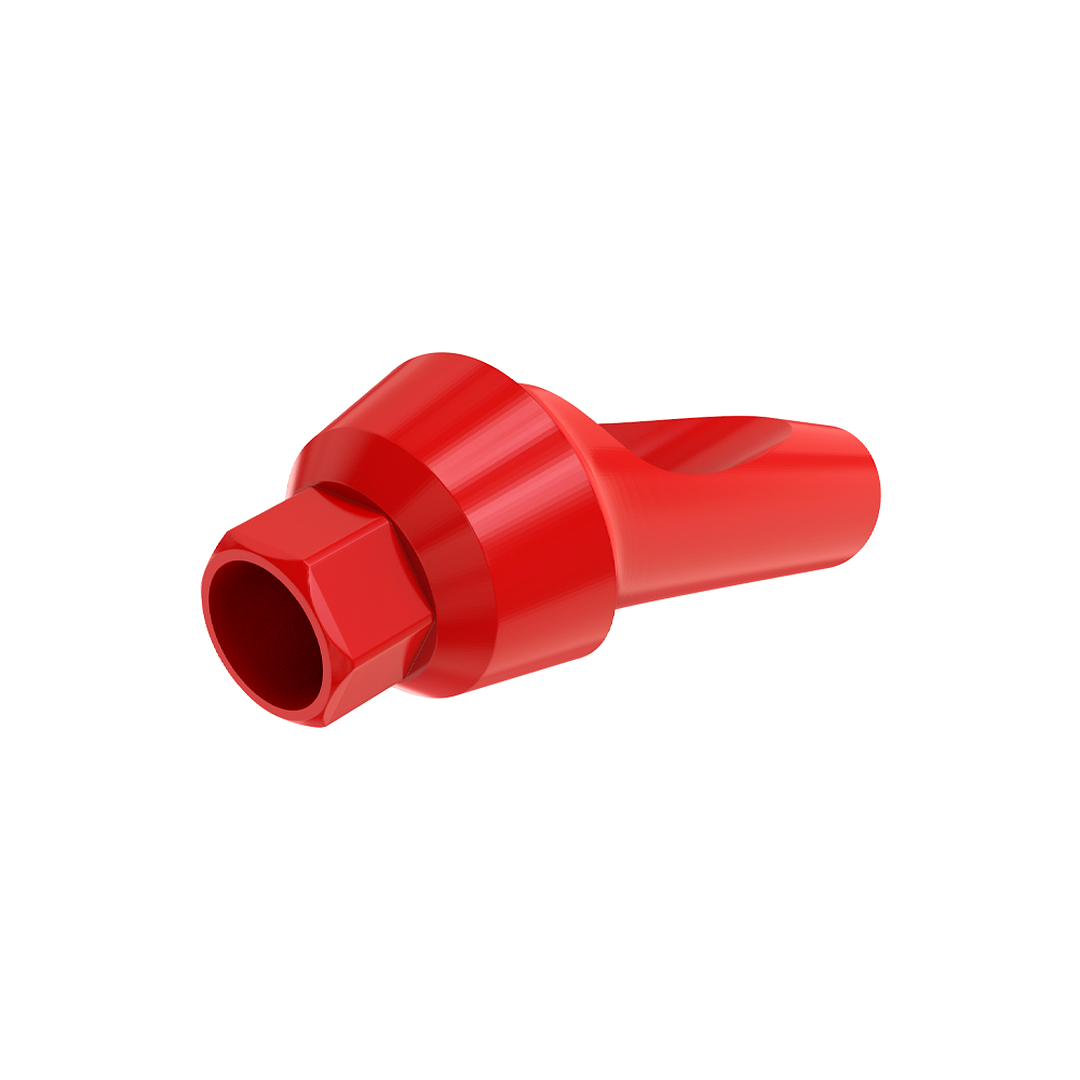 Angulated 25° Anatomic Fully Castable Abutment - Internal Hex SP