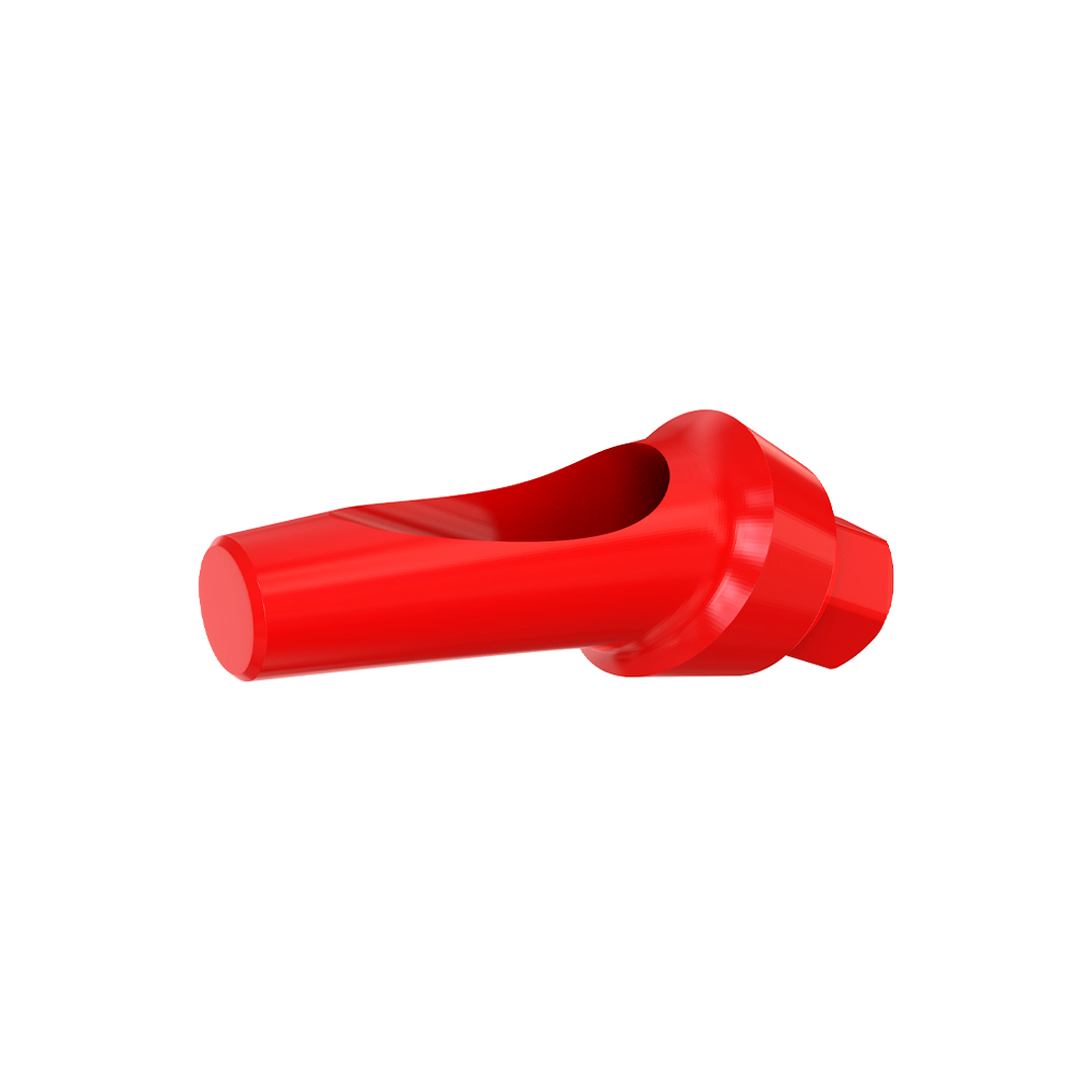 Angulated 25° Anatomic Fully Castable Abutment - Internal Hex SP