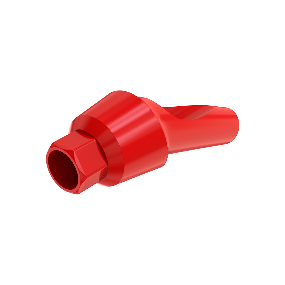 Angulated 25° Anatomic Fully Castable Abutment - Internal Hex SP
