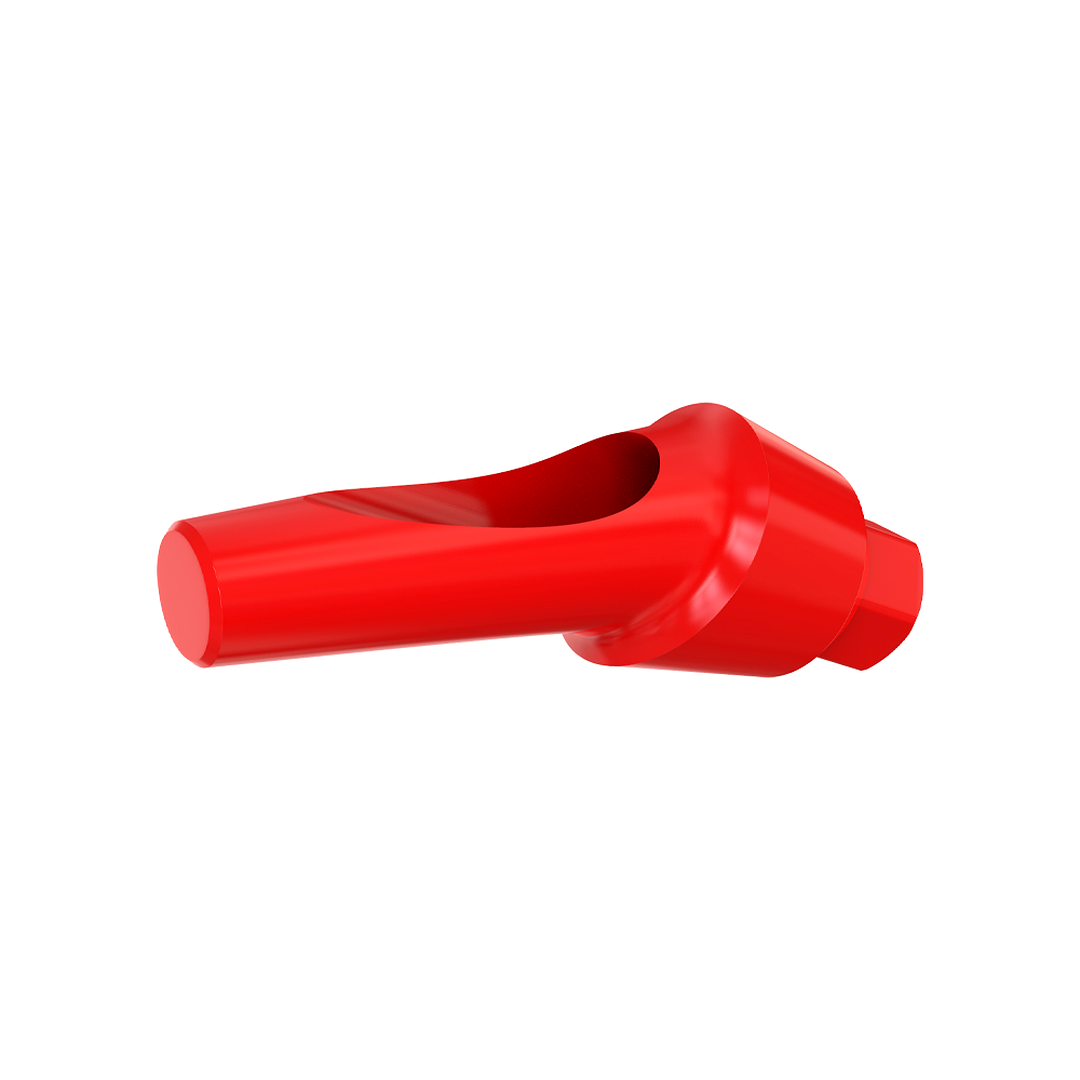 Angulated 25° Anatomic Fully Castable Abutment - Internal Hex SP